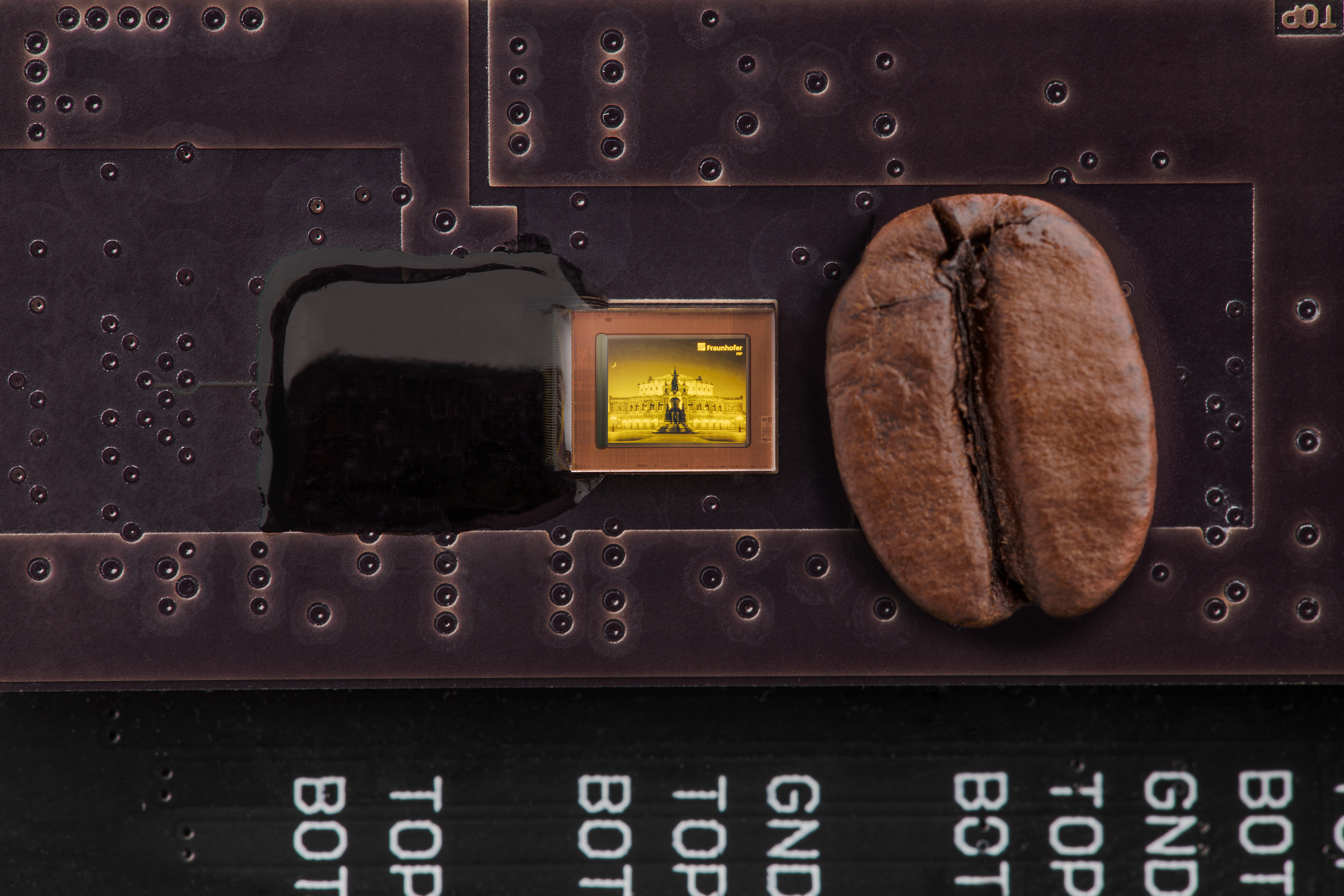Größenvergleich der neuen Backplane mit Kaffeebohne