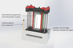 Bioreaktor mit OLED-Beleuchtung (Schema)