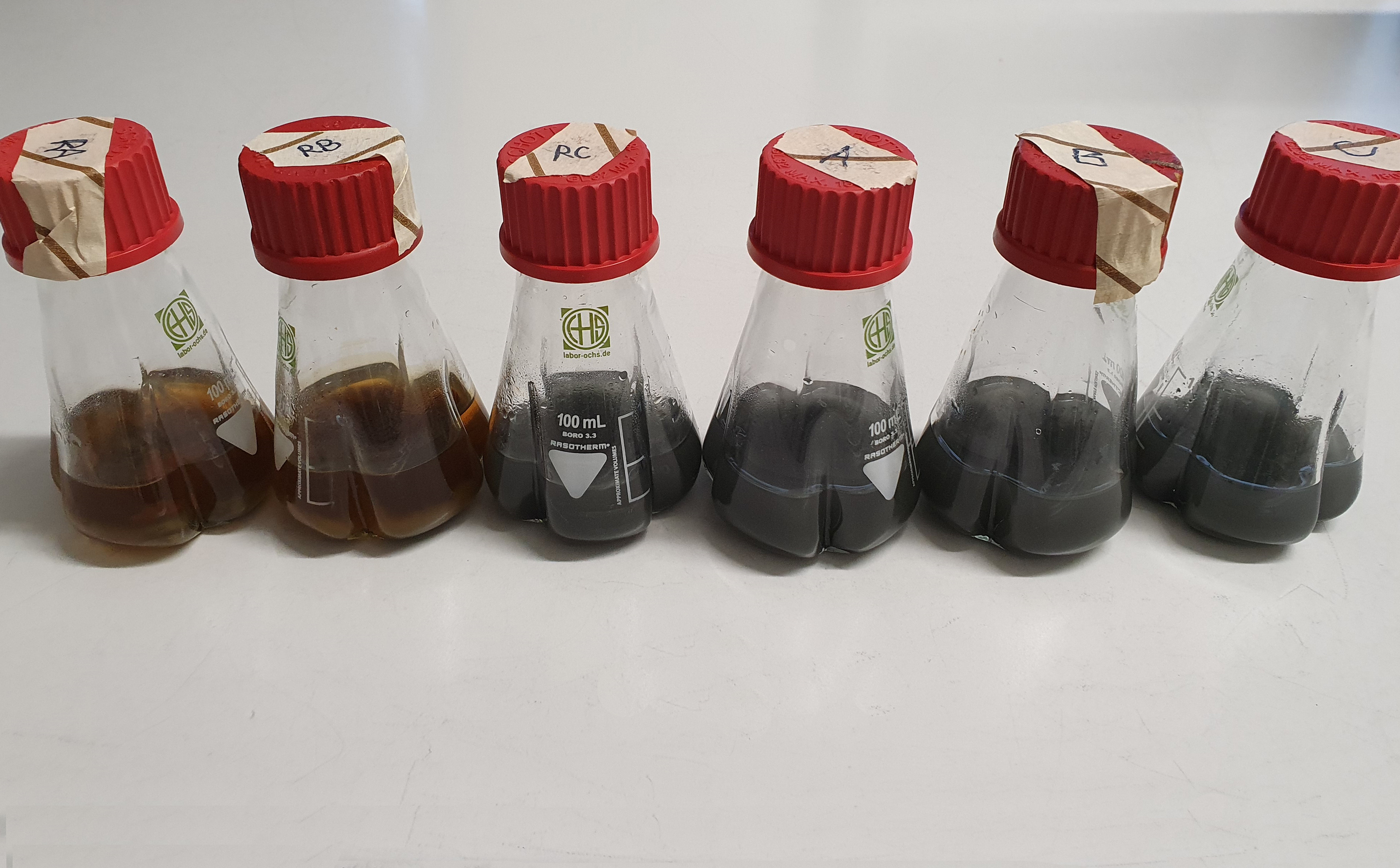 Samples with electron beam-treated bacteria for copper leaching