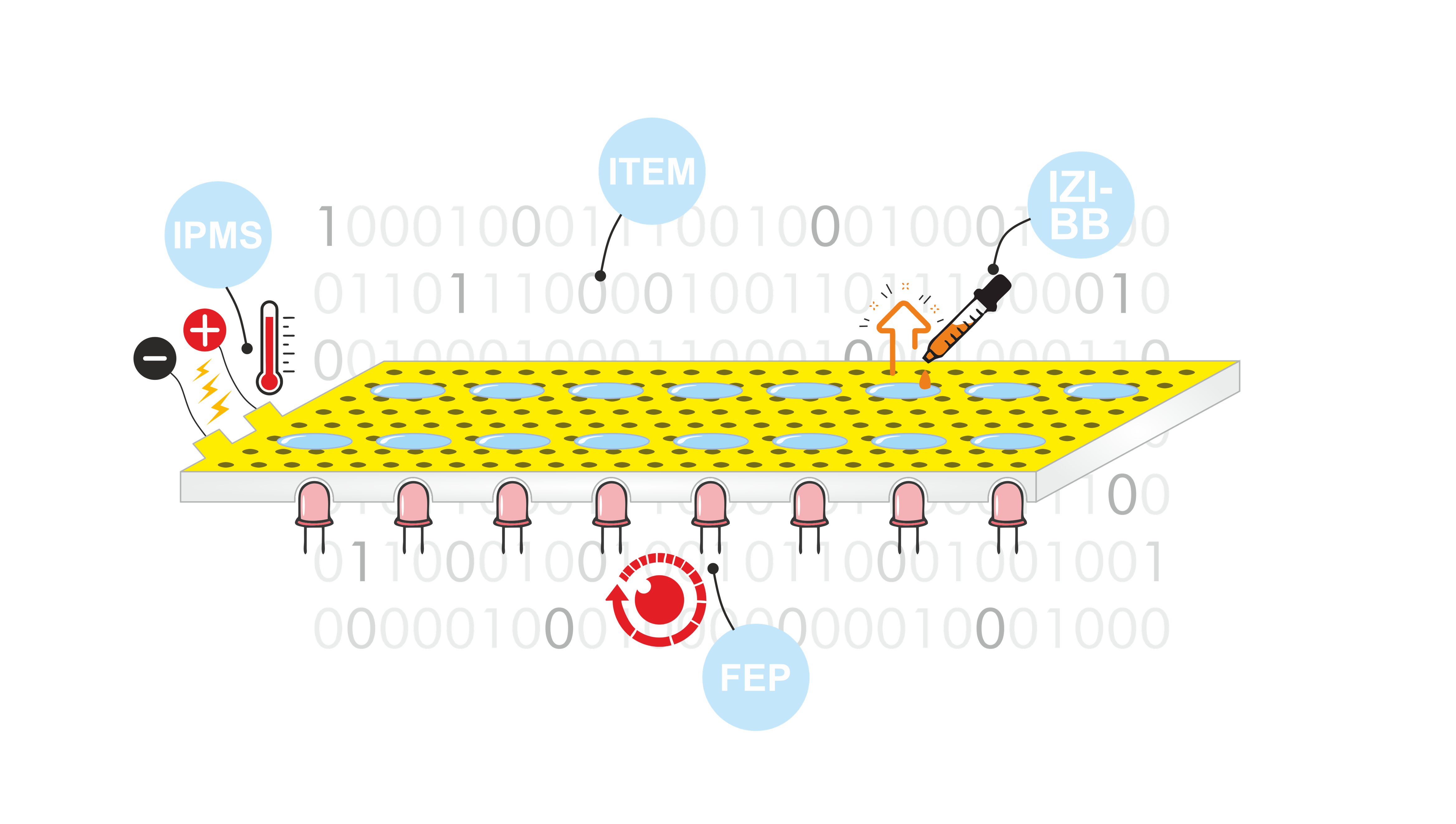 Competencies of the Fraunhofer Institutes for the future microchip platform "BIOSYNTH"